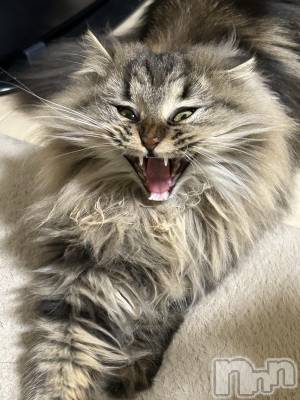 ��ˬ����Х��顦�����CLUB K����Prologue��(����֥���) �椭��12��4���̥�֥�����12��4�� 23��13ʬ�Υ֥�����