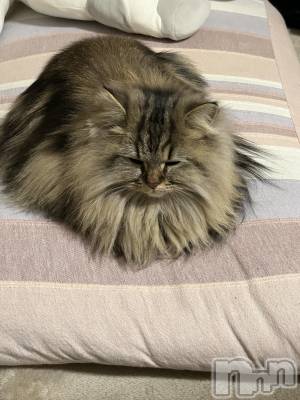 ��ˬ����Х��顦�����CLUB K����Prologue��(����֥���) �椭��1��8���̥�֥�����1��8�� 21��04ʬ�Υ֥�����