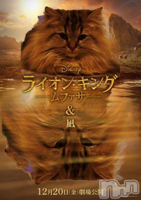 ��ˬ����Х��顦�����CLUB K����Prologue��(����֥���) �椭��4��3���̥�֥�����4��3�� 22��21ʬ�Υ֥�����