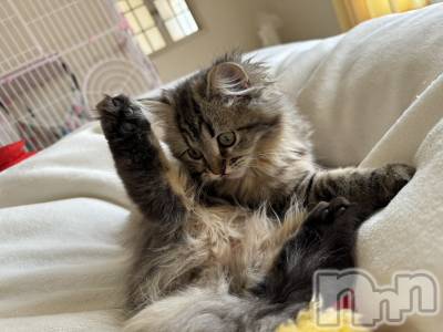 ��ˬ����Х��顦�����CLUB K����Prologue��(����֥���) �椭��5��16���̥�֥�����5��16�� 17��50ʬ�Υ֥�����