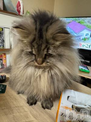 ��ˬ����Х��顦�����CLUB K����Prologue��(����֥���) �椭��1��15���̥�֥�����kawaii��