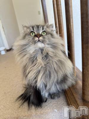 ��ˬ����Х��顦�����CLUB K����Prologue��(����֥���) �椭��1��25���̥�֥�����kawaii��