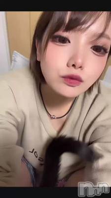 �ܤˤˤ��ӤǤ���