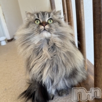 CLUB K����Prologue��