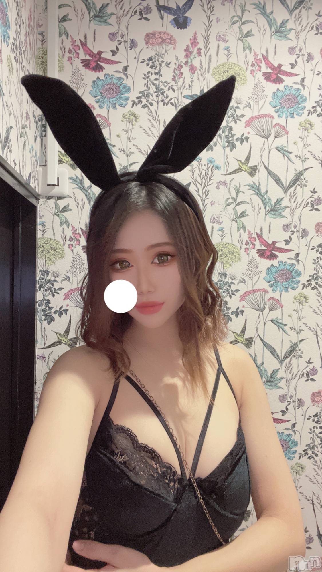 Х顦CABAR LEPUS(Сץ) 2022ǯ1031ֻ̥֥ɤ