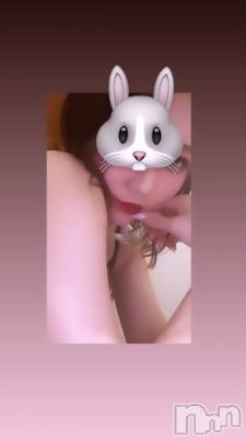 Х顦CABAR LEPUS(Сץ) RENA(24)427̥֥֤Ѥ