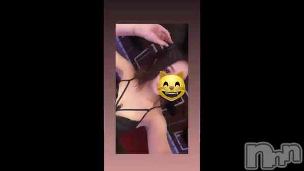 Bunnyǽ&#x1F92D;