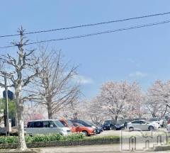 上越デリヘルRICHARD（リシャール）(リシャール) 雛瀬ゆり(23)の4月12日写メブログ「さ～く～ら～🌸」