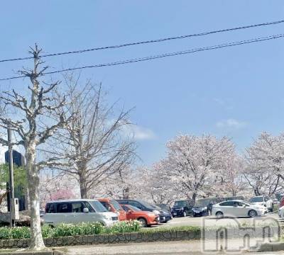 上越デリヘル RICHARD（リシャール）(リシャール) 雛瀬ゆり(23)の4月12日写メブログ「さ～く～ら～🌸」