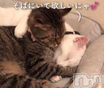 長岡人妻デリヘル不倫商事　長岡営業所(フリンショウジナガオカエイギョウショ) 日野坂　はなみ(41)の2月16日写メブログ「オフローション」