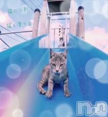 長岡デリヘルBIANCA～主人の知らない私～長岡店(ビアンカナガオカテン) 日野坂　はなみ(41)の9月6日写メブログ「重陽の節句」