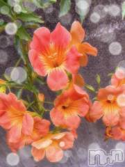 長岡デリヘルBIANCA～主人の知らない私～長岡店(ビアンカナガオカテン) 日野坂　はなみ(41)の9月10日写メブログ「ビタミンH」