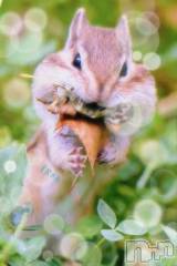 長岡デリヘルBIANCA～主人の知らない私～長岡店(ビアンカナガオカテン) 日野坂　はなみ(41)の9月29日写メブログ「[お題]from:爪かんじゃうさん」