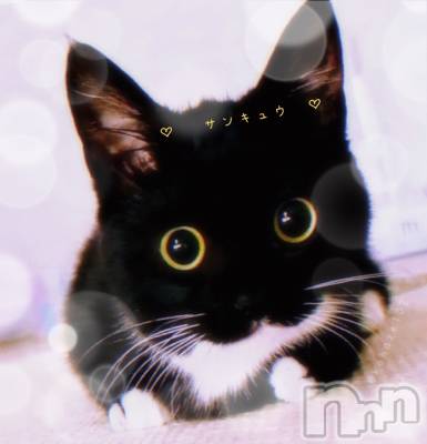 長岡デリヘル BIANCA～主人の知らない私～長岡店(ビアンカナガオカテン) 日野坂　はなみ(41)の9月18日写メブログ「昨日　出勤しました」