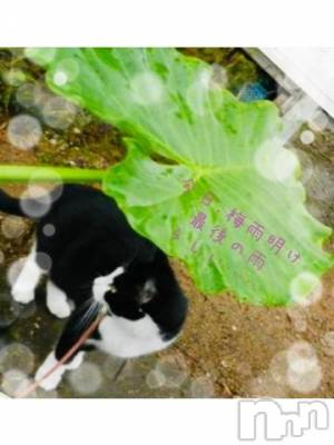 長岡デリヘル BIANCA～主人の知らない私～長岡店(ビアンカナガオカテン) 日野坂　はなみ(41)の7月31日写メブログ「7月　最終日」