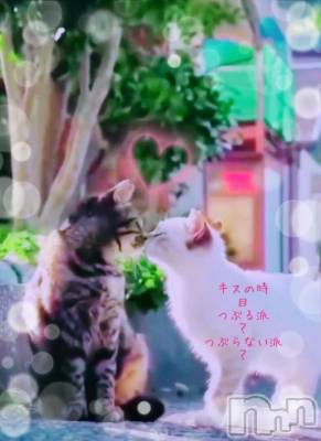 長岡デリヘル BIANCA～主人の知らない私～長岡店(ビアンカナガオカテン) 日野坂　はなみ(41)の3月25日写メブログ「春日和」