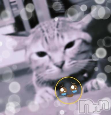 長岡デリヘル BIANCA～主人の知らない私～長岡店(ビアンカナガオカテン) 日野坂　はなみ(41)の4月2日写メブログ「4月　早々」