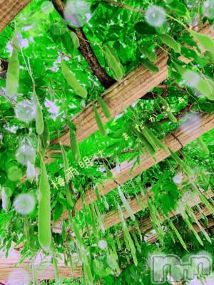 長岡デリヘル BIANCA～主人の知らない私～長岡店(ビアンカナガオカテン) 日野坂　はなみ(41)の7月2日写メブログ「[お題]from:あさあそびさん」