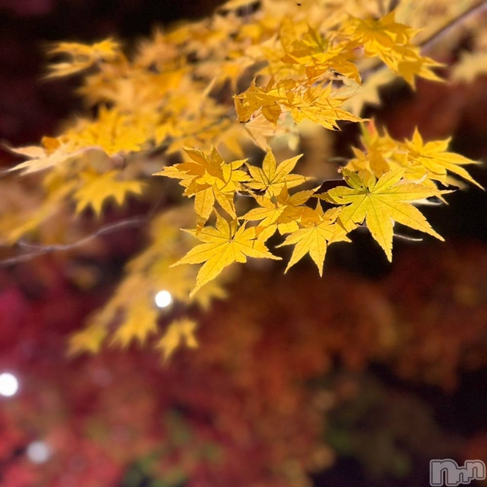 Х顦Lune LYNX(롼󥯥) 1121ֹ̥֥🍂🍁