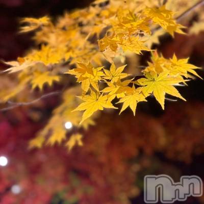 Х顦Lune LYNX(롼󥯥) 1121ֹ̥֥🍂🍁