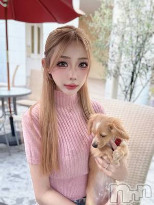 Х顦Lune LYNX(롼󥯥) 520ֽ̥֥Ф🐕🐾