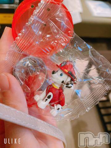 長岡デリヘル純・無垢(ジュンムク) かなめ☆(21)の8月15日写メブログ「ヒキ強めᐠ(  ᐢ ᵕ ᐢ )ᐟ」