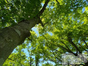 長岡デリヘル 純・無垢(ジュンムク) かなめ☆(21)の5月8日写メブログ「『貸した金』と『借りた金』」