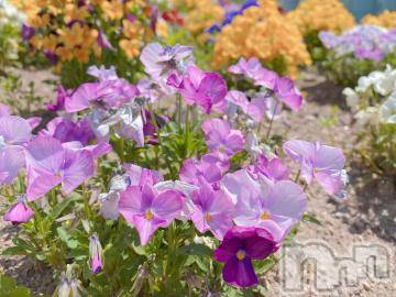 長岡デリヘル 純・無垢(ジュンムク) かなめ☆(21)の5月9日写メブログ「気圧の谷」