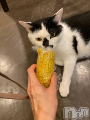 長岡デリヘル 純・無垢(ジュンムク) かなめ☆(21)の8月8日写メブログ「夏だ‼️鬱だ‼️ご自愛だ‼️」