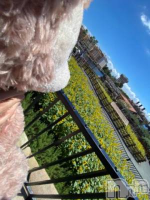 長岡デリヘル 純・無垢(ジュンムク) かなめ☆(21)の8月13日写メブログ「帰省」