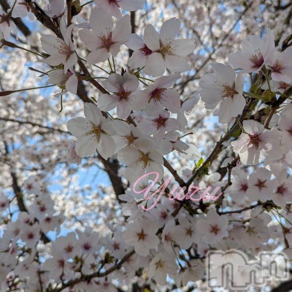 佐久発デリヘル佐久上田人妻隊(サクウエダヒトヅマタイ) ゆず(43)の4月16日写メブログ「さかりの♡」