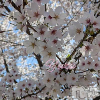 佐久発デリヘル 佐久上田人妻隊(サクウエダヒトヅマタイ) ゆず(43)の4月16日写メブログ「さかりの♡」