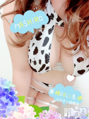 新人　ましろ(23) 身長157cm、スリーサイズB113(G以上).W76.H102。上越人妻デリヘル 上越最安値！奥様Deli急便(ジョウエツサイヤスネ！オクサマデリキュウビン)在籍。