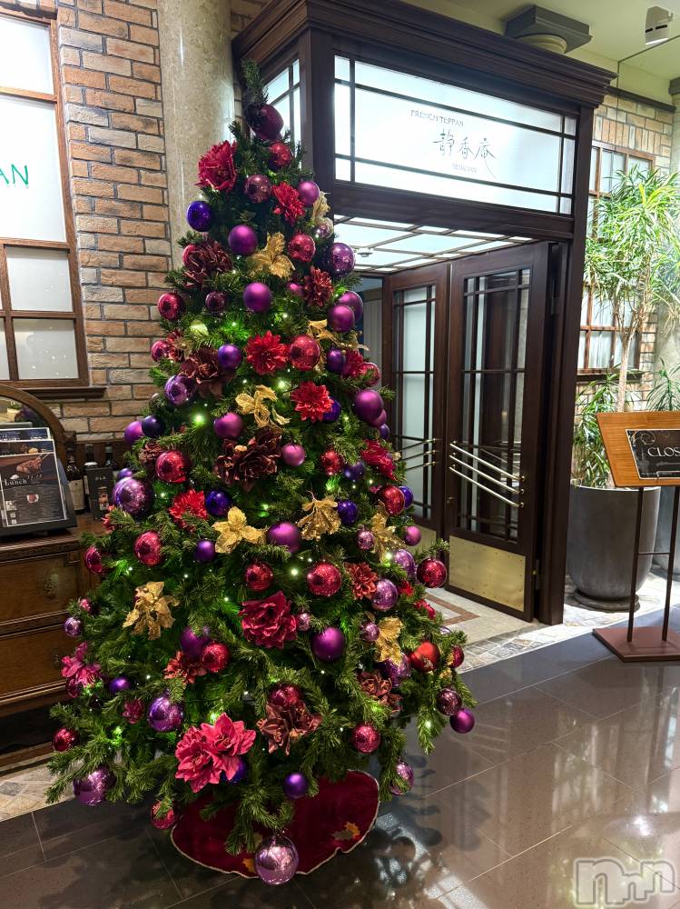 Х顦Diletto(ǥå)  1223̥֥🎄