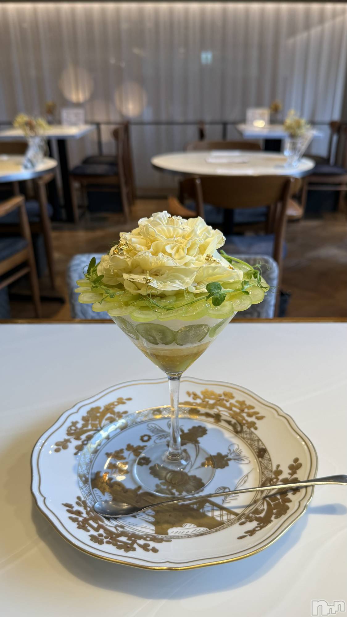 Х顦Diletto(ǥå) 2025ǯ117̥֥6000ߤΥѥե