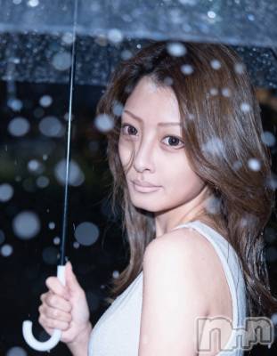 (ҥߥ) ĹҥߥġХ顦 Diletto(ǥå)ҡ