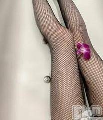 新潟人妻デリヘル新潟人妻デリバリーヘルス 下心 ～したごころ～(シタゴコロ)雛形(ひながた)奥様(34)の2022年12月2日写メブログ「まだまだ、ご予約おまちしてますー💘」