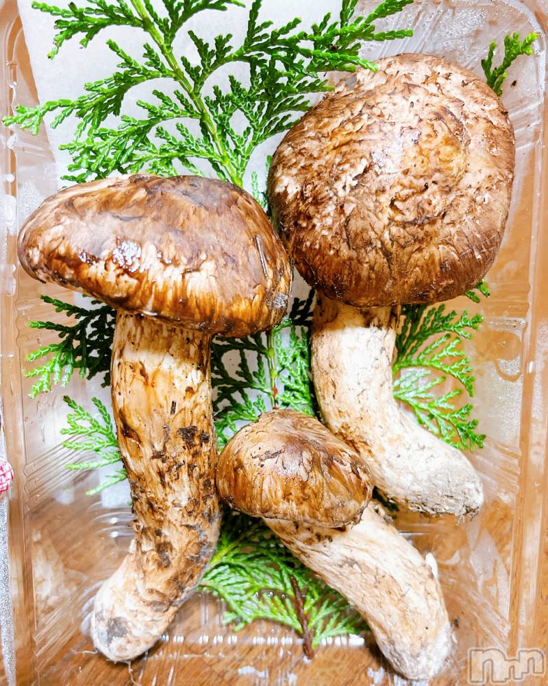 ĮХ顦CLUB GROW(֥) ɱǵ 1028̥֥֤🤍