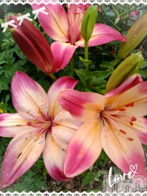 上田発デリヘル 人妻華道 上田店(ヒトヅマハナミチウエダテン) 【熟女】ゆりの(55)の6月28日写メブログ「休憩たいむ?」