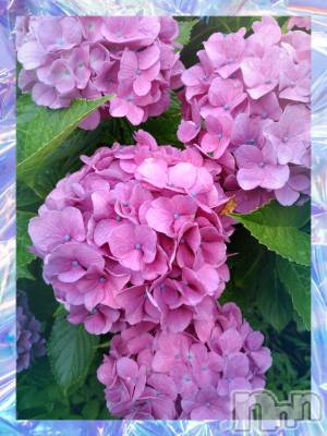 上田発デリヘル 人妻華道 上田店(ヒトヅマハナミチウエダテン) 【熟女】ゆりの(55)の6月30日写メブログ「こんにちは??」