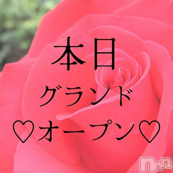 ȯѥ˥󥯥֥ޥॳѥ˥椦 Ź(ޥॳѥ˥楦˥ƥ)  2022ǯ62̥֥֤ĤOPEN💗ʥӥϤޤޤ💗