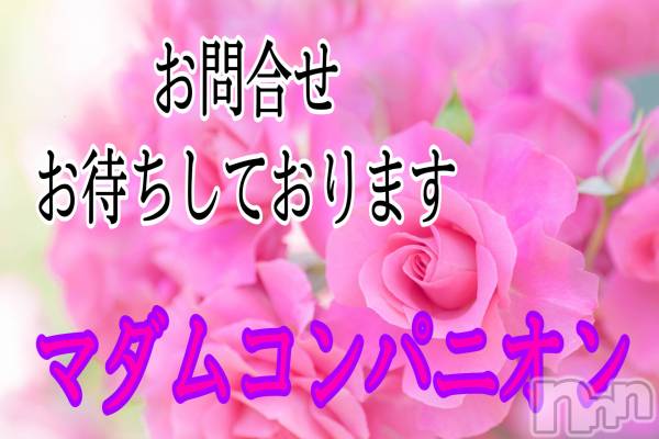 ȯѥ˥󥯥֥ޥॳѥ˥椦 Ź(ޥॳѥ˥楦˥ƥ)  2022ǯ616̥֥Įνޤˤޥॳѥ˥ƤǤ💖