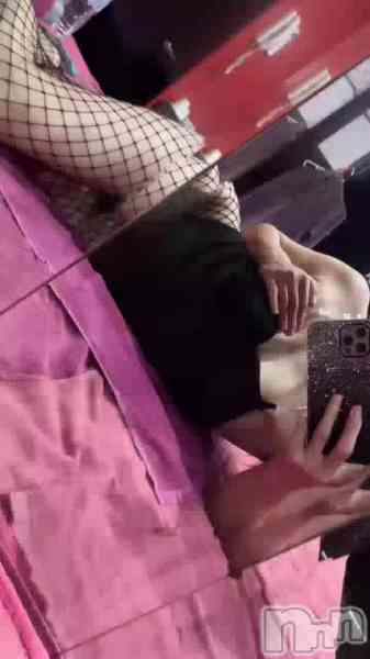 メグの動画 最終日