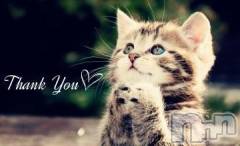 新潟デリヘル新潟人妻デリバリーヘルス 下心 ～したごころ～(シタゴコロ) 黒木(くろき)奥様(40)の9月19日写メブログ「出勤」