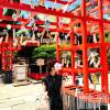 新潟風俗エステ GRACE　新潟(グレース　ニイガタ) 瀬名(34)の7月10日写メブログ「風鈴祭り🎐⛩」