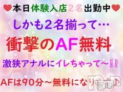 新潟デリヘル(シークレットラブ)の2023年4月11日お店速報「入店直後大人気美形AF無料妻かな奥様S級AF無料美女すみれ」