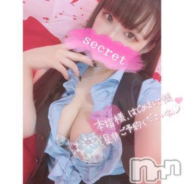 新潟デリヘル(シークレットラブ)の2024年2月1日お店速報「本日もハズレ無しの美女を破格でご案内まずはお待ちしてます」