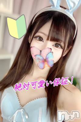 新潟デリヘル(シークレットラブ)の2024年6月28日お店速報「超可愛い新人美女２名超極嬢ななﾁｬﾝ超可愛い保証れなﾁｬﾝ」