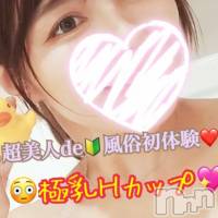 新潟デリヘル Secret Love(シークレットラブ)の11月12日お店速報「残り僅か新人2人大盛況まだご案内可能です最速で下さい」