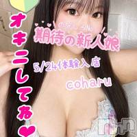 新潟デリヘル Secret Love(シークレットラブ)の5月30日お店速報「新潟最安値70分8,000円～５周年の感謝を込めてご案内致します」
